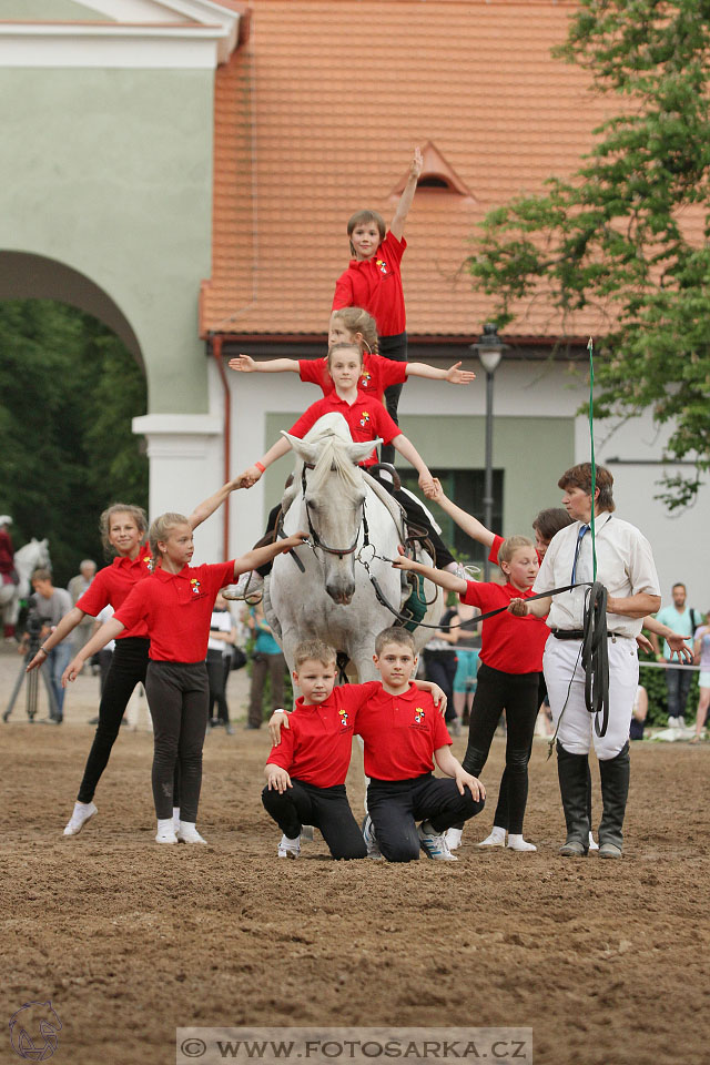 Den starokladrubského koně