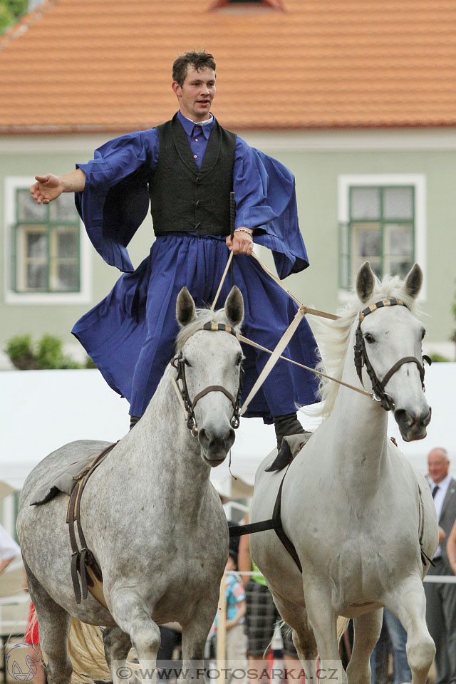 Den starokladrubského koně