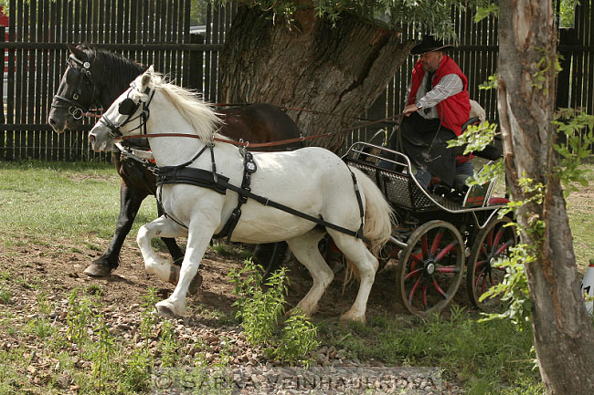 Dvojspřeží