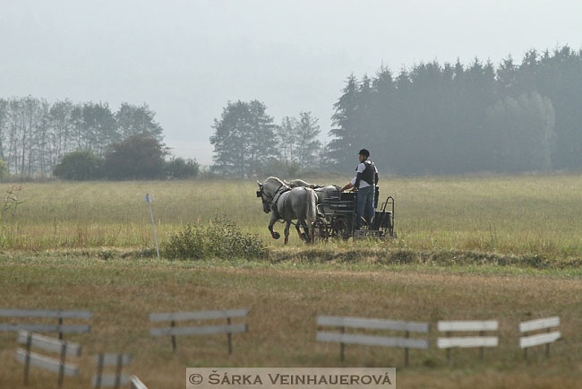 Dvojspřeží