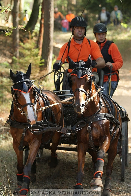 Dvojspřeží