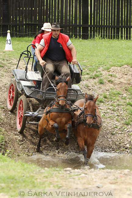 Dvojspřeží pony