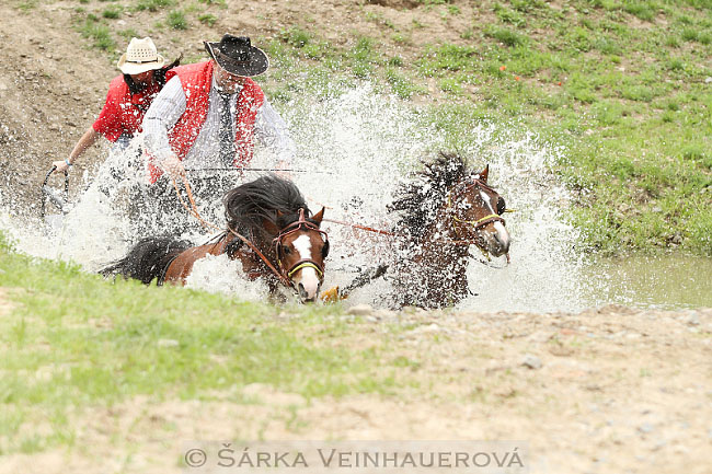 Dvojspřeží pony