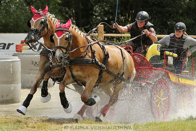 Dvojspřeží pony