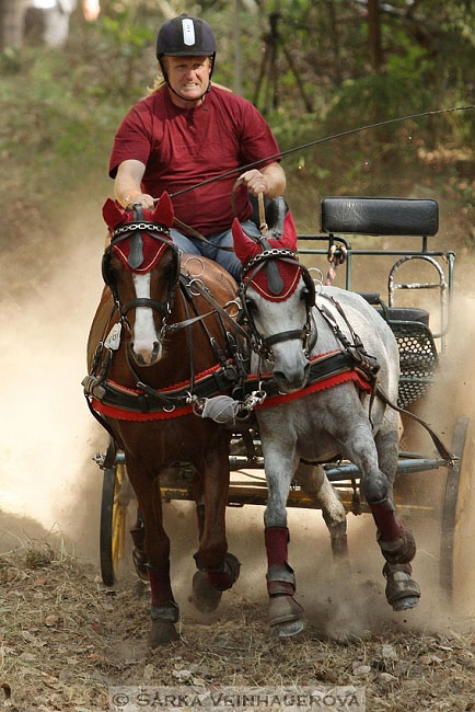 Dvojspřeží pony