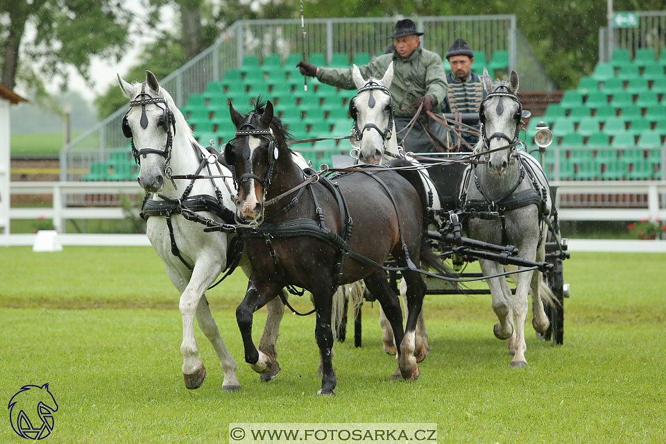 Fábiánsebastyén (HUN)