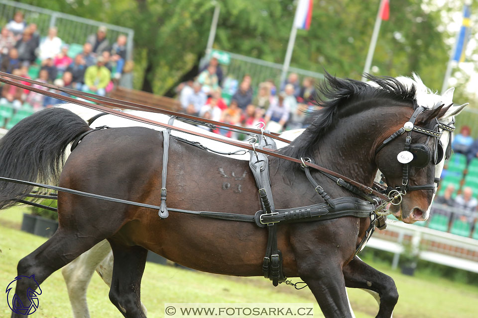 Fábiánsebastyén (HUN)