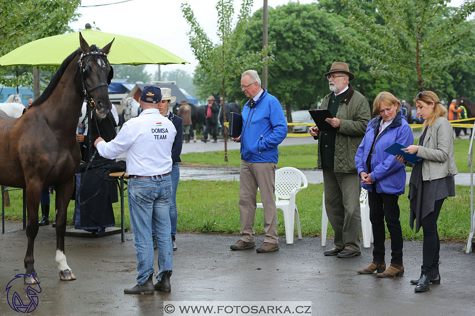 Fábiánsebastyén (HUN)