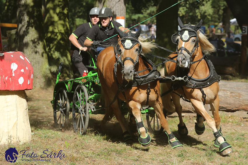 Heřmanův Městec 2018 - maraton