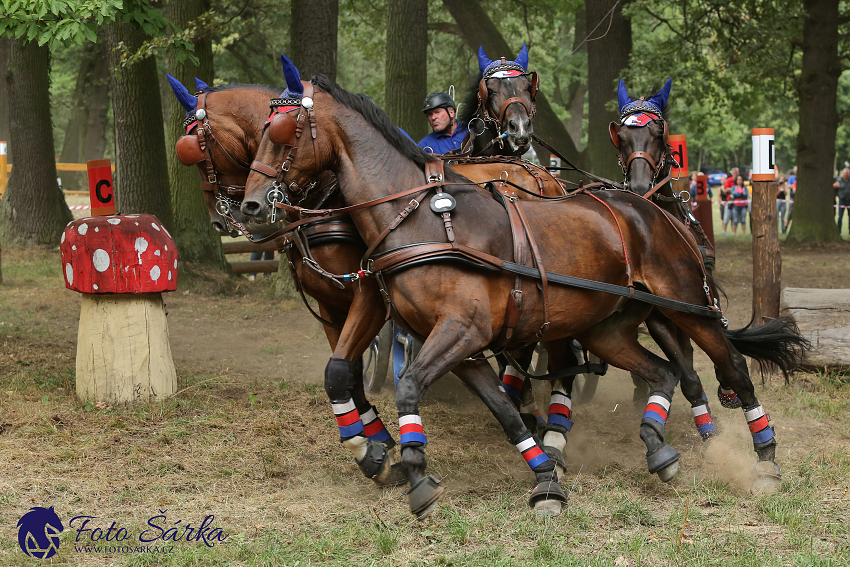 Heřmanův Městec 2018 - maraton