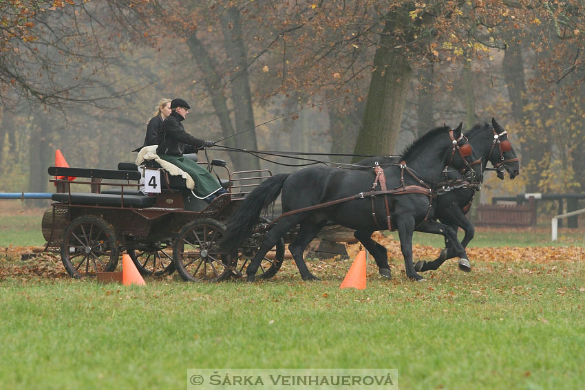 Hubertova jízda