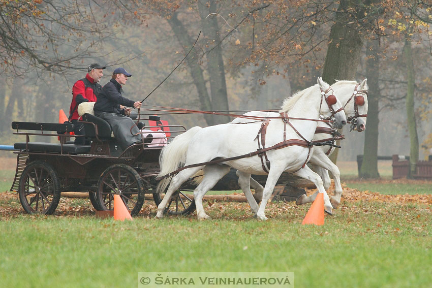 Hubertova jízda