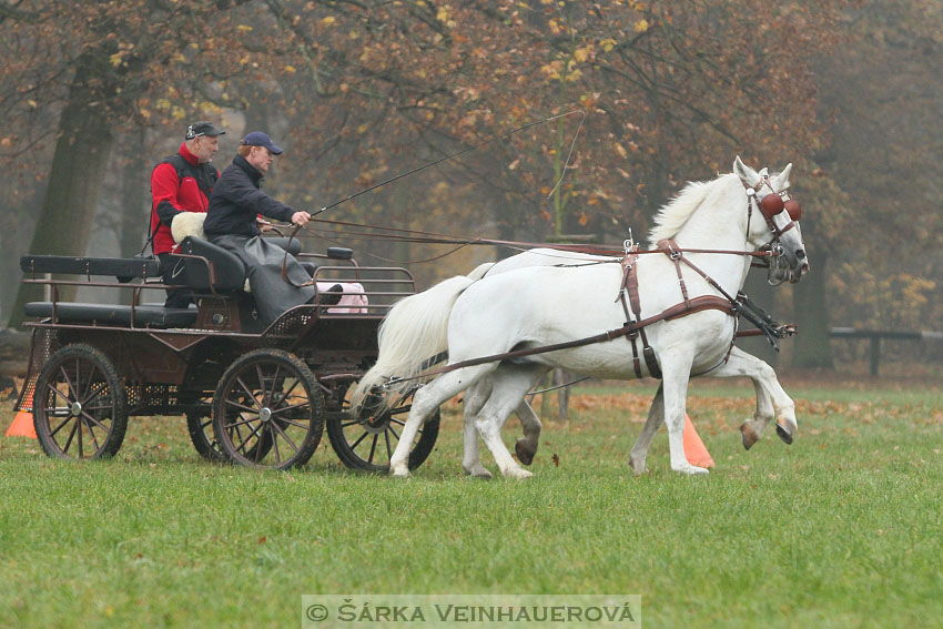 Hubertova jízda