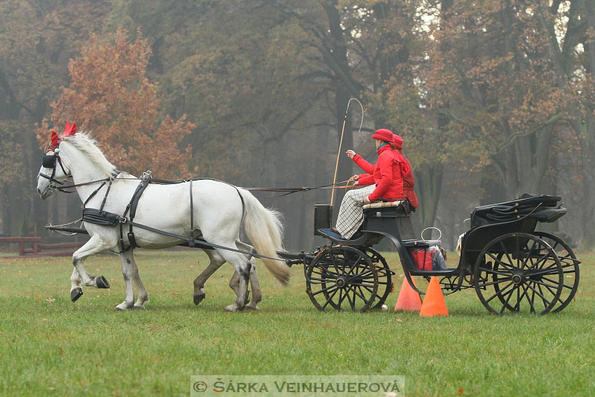 Hubertova jízda