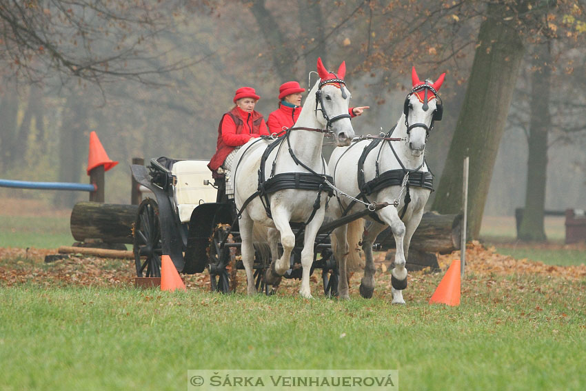 Hubertova jízda