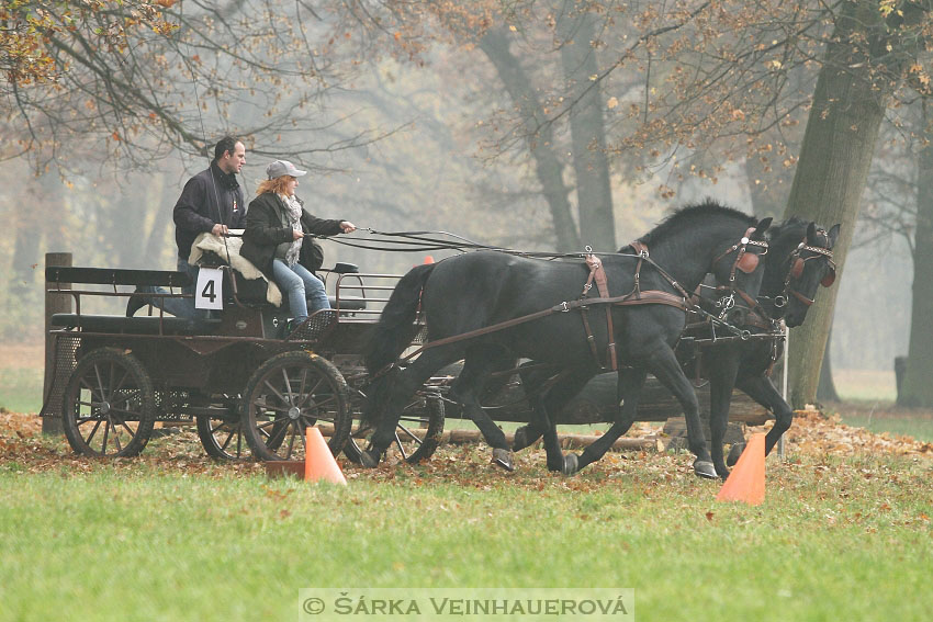 Hubertova jízda