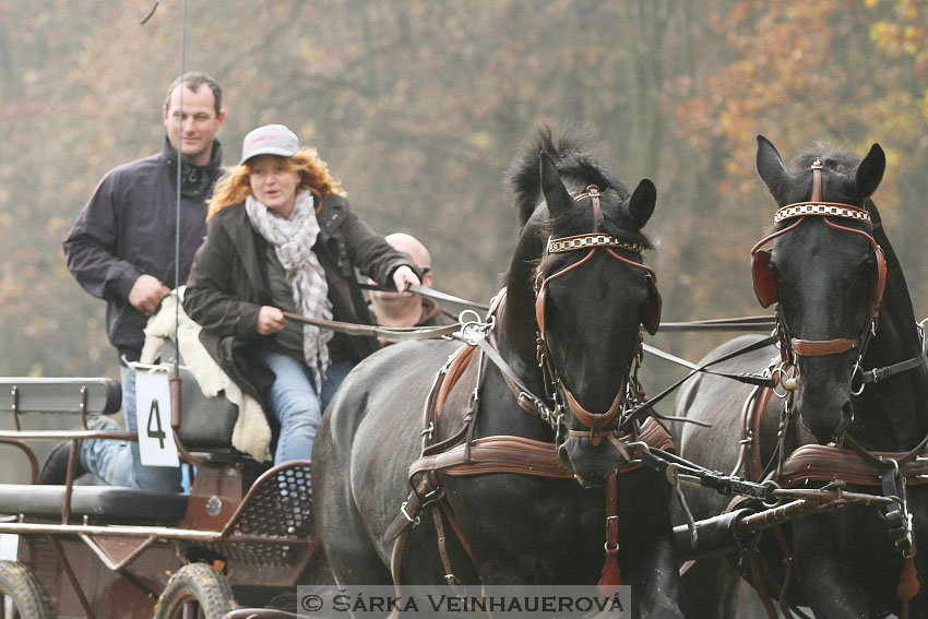 Hubertova jízda