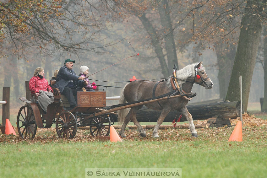 Hubertova jízda