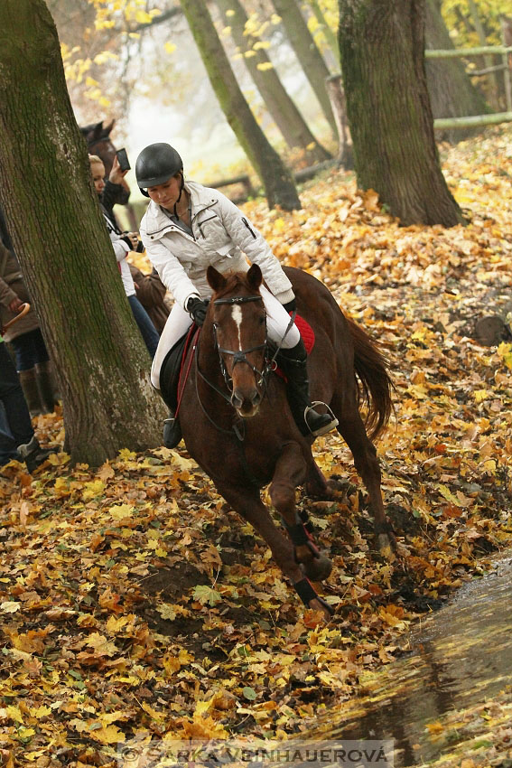 Hubertova jízda