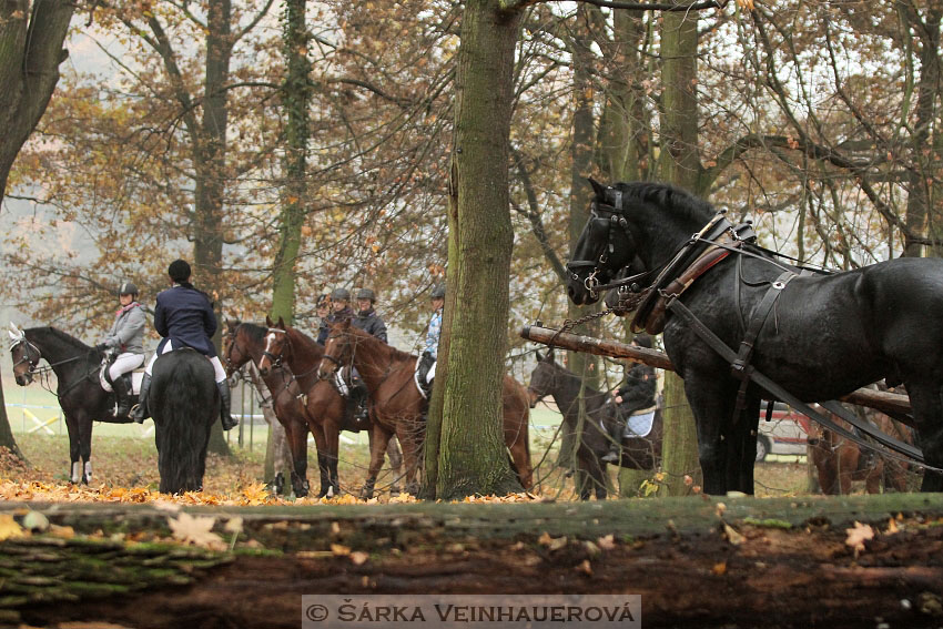 Hubertova jízda