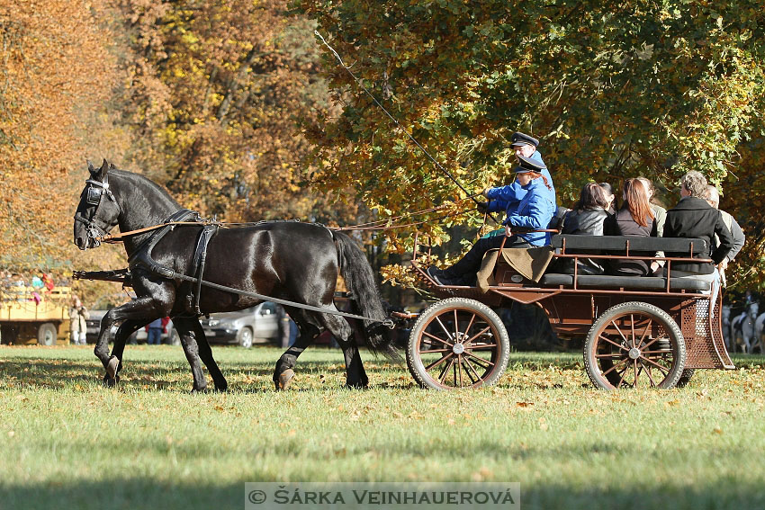 Hubertova jízda