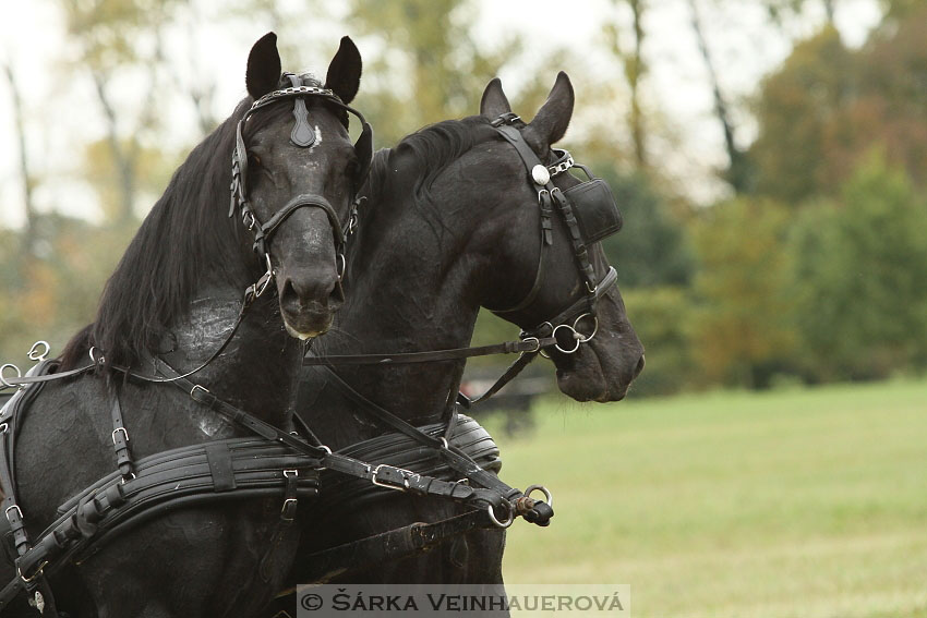 Hubertova jízda