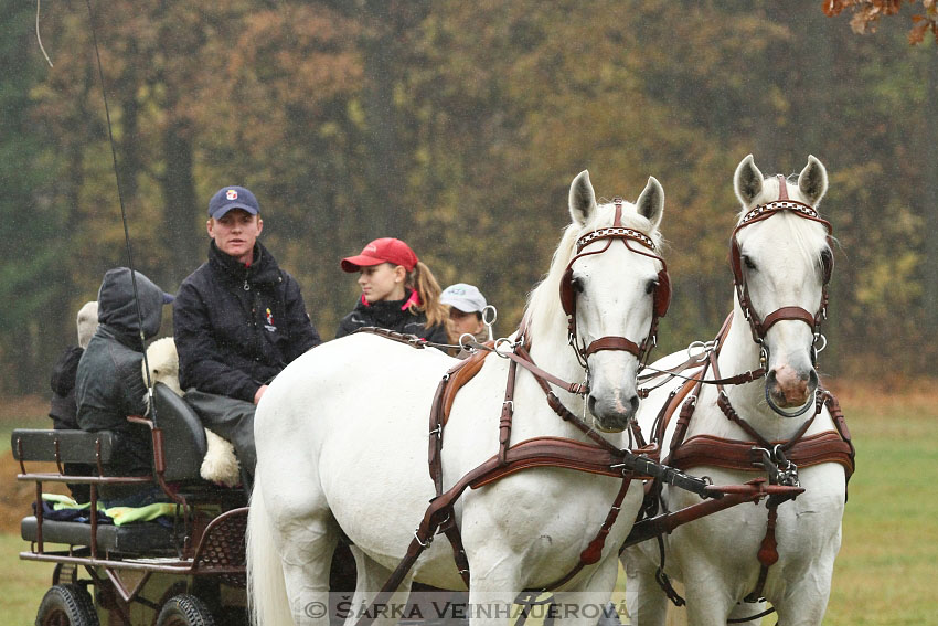 Hubertova jízda