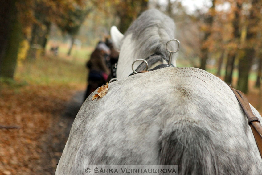 Hubertova jízda