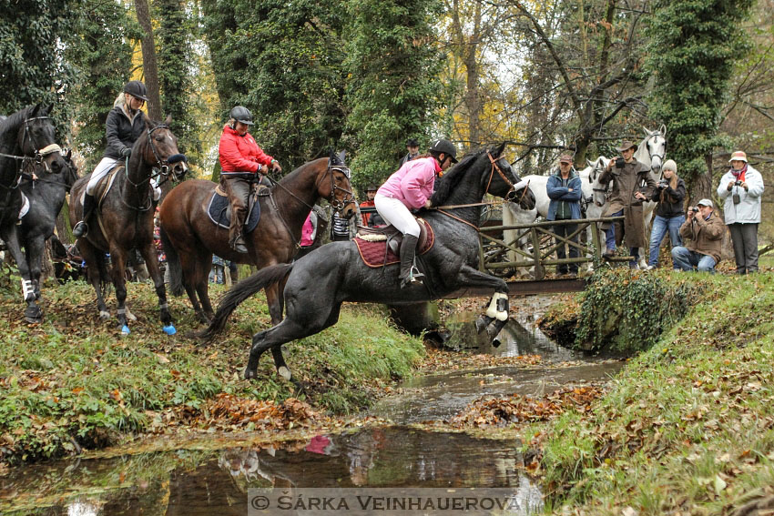 Hubertova jízda