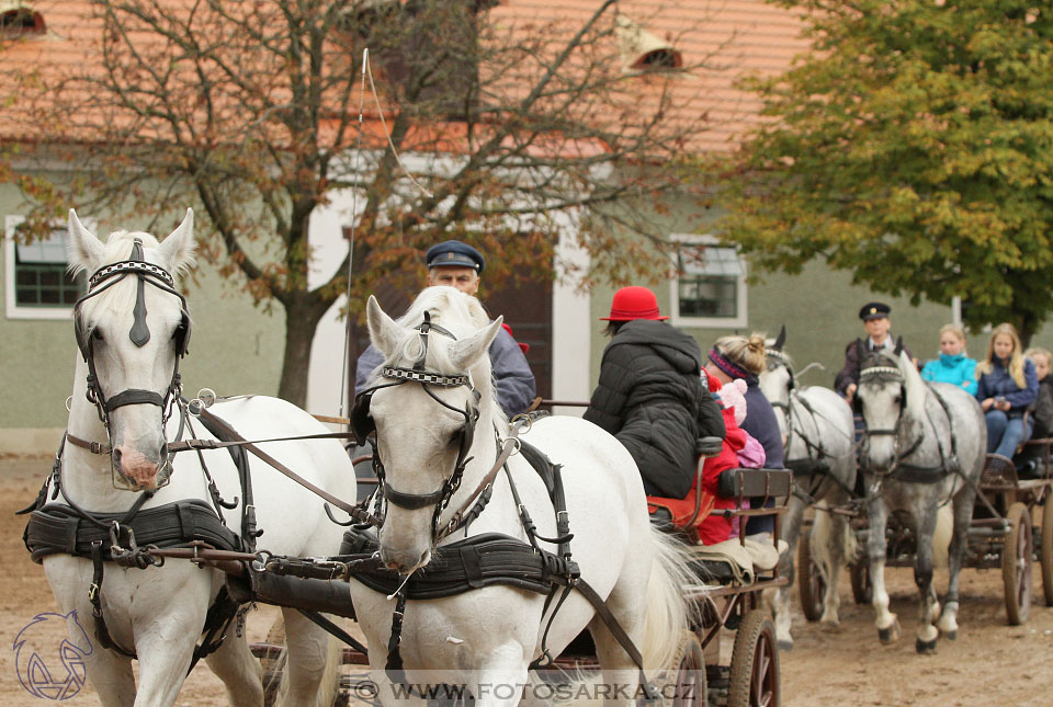 Hubertova jízda I. 