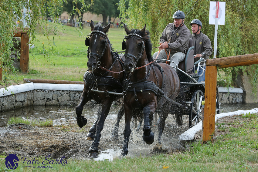 Humpolec 2018 - Finále ZP spřežení