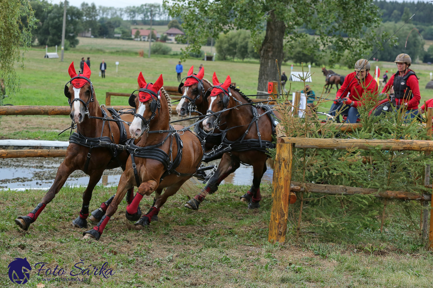 Humpolec 2018 - Finále ZP spřežení