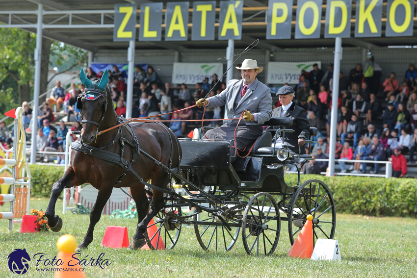 Humpolec 2018 - Finále ZP spřežení