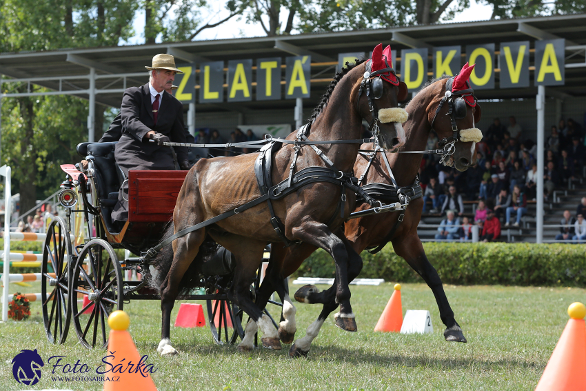 Humpolec 2018 - Finále ZP spřežení