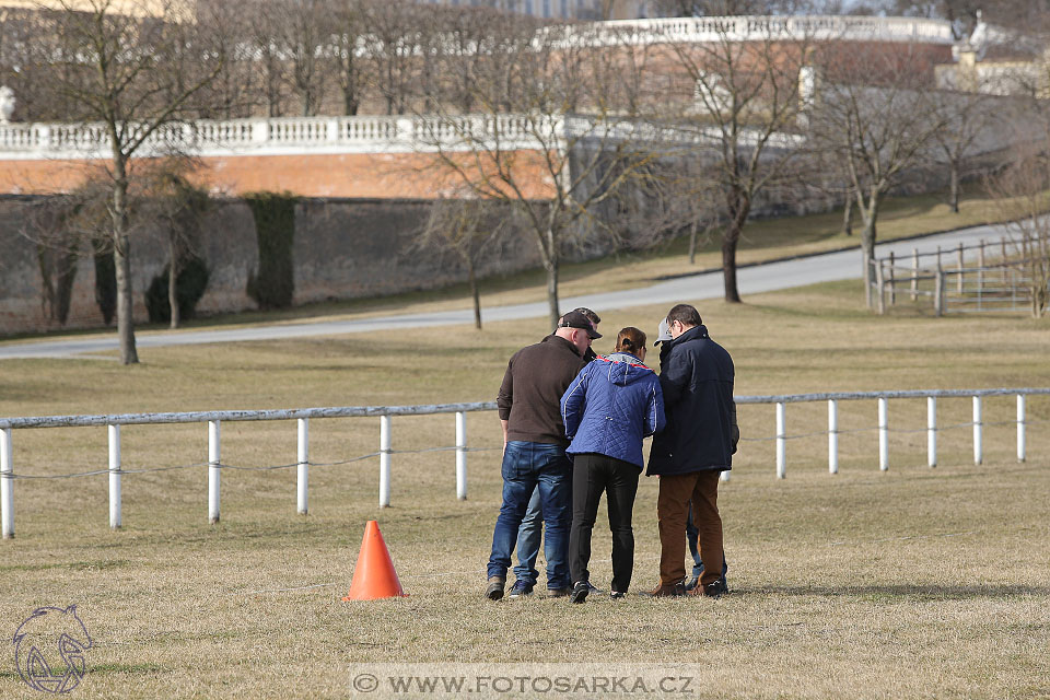 International Equestrian Congress - Horse in Sport 2017