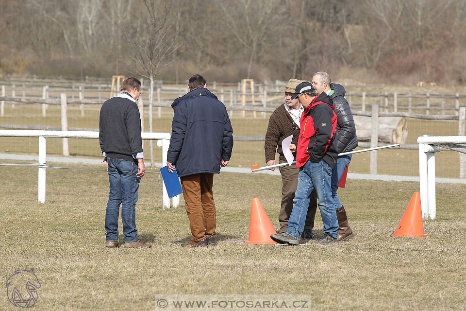 International Equestrian Congress - Horse in Sport 2017