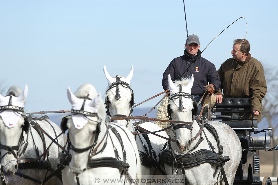 International Equestrian Congress - Horse in Sport 2017