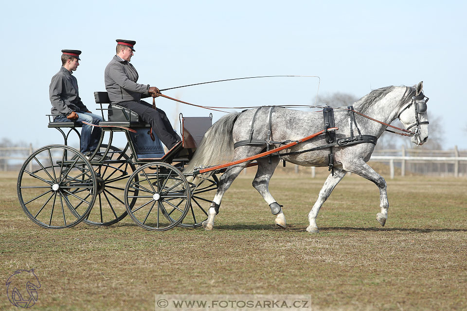 International Equestrian Congress - Horse in Sport 2017