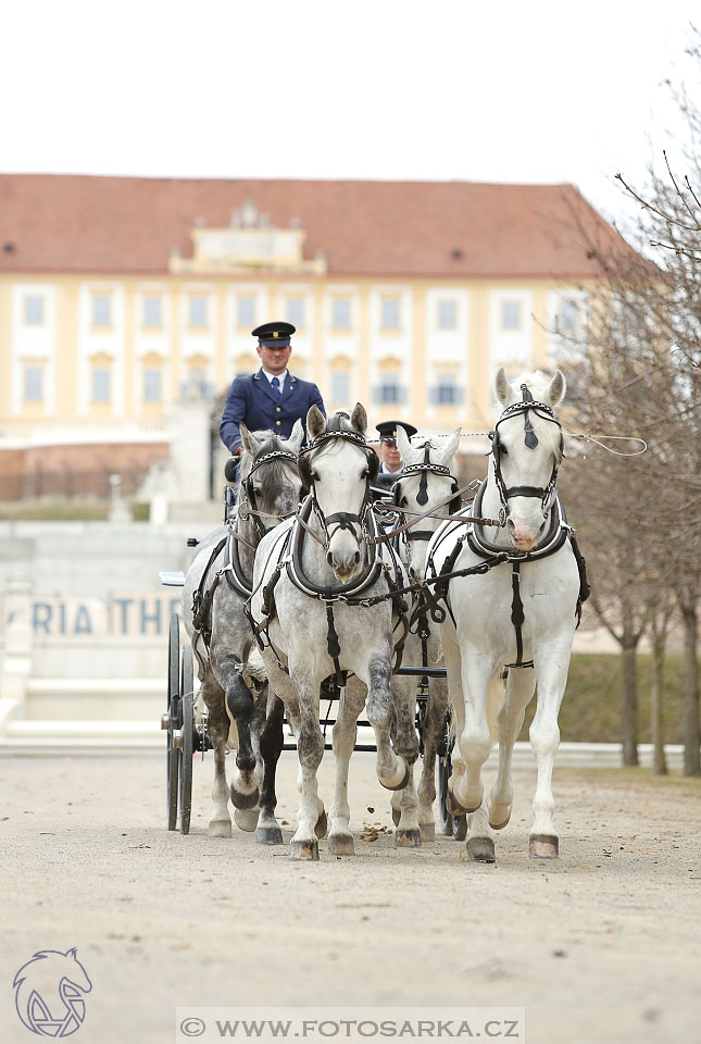 International Equestrian Congress - Horse in Sport 2017