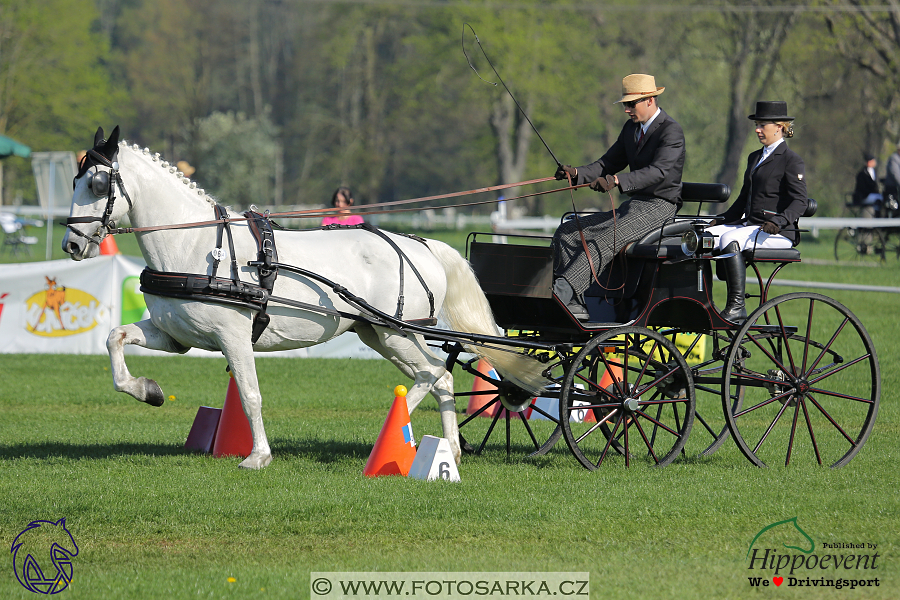 Kladruby 2018 - neděle parkur