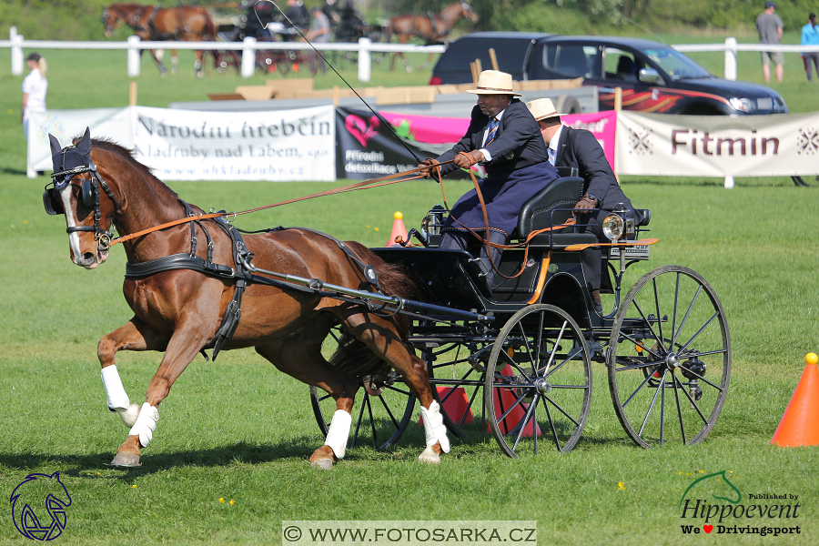 Kladruby 2018 - neděle parkur