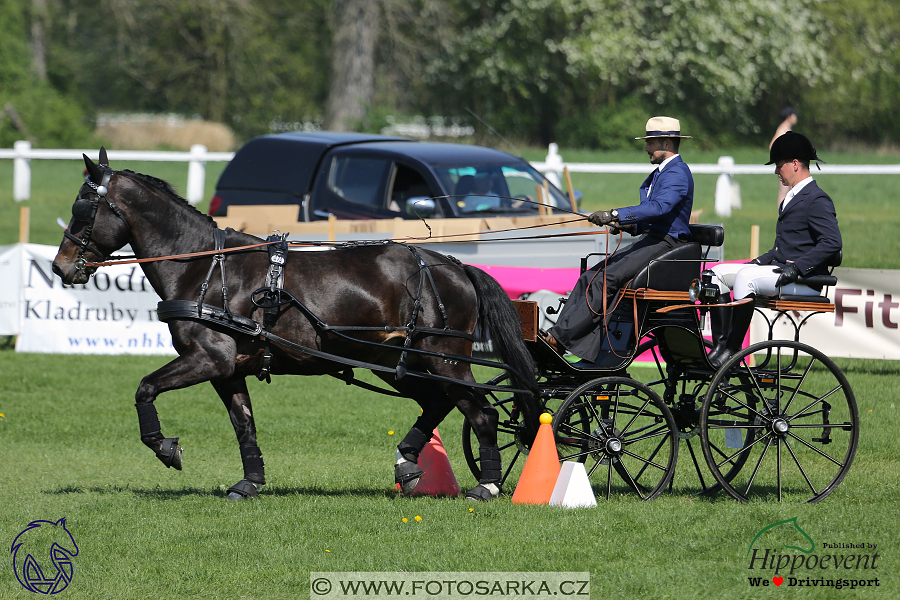 Kladruby 2018 - neděle parkur