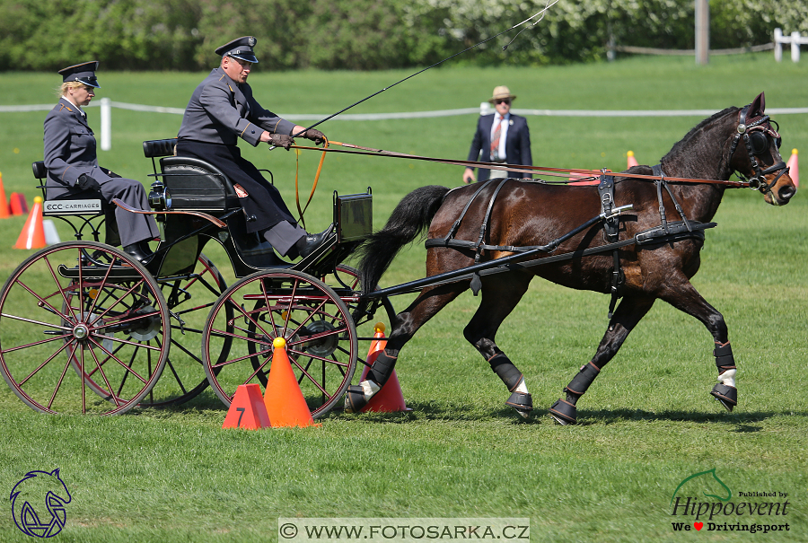 Kladruby 2018 - neděle parkur