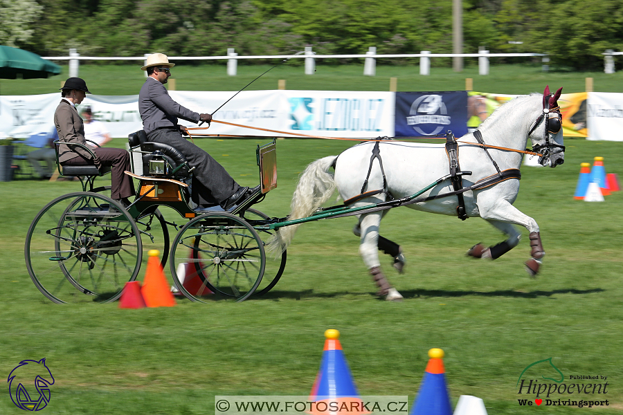 Kladruby 2018 - neděle parkur