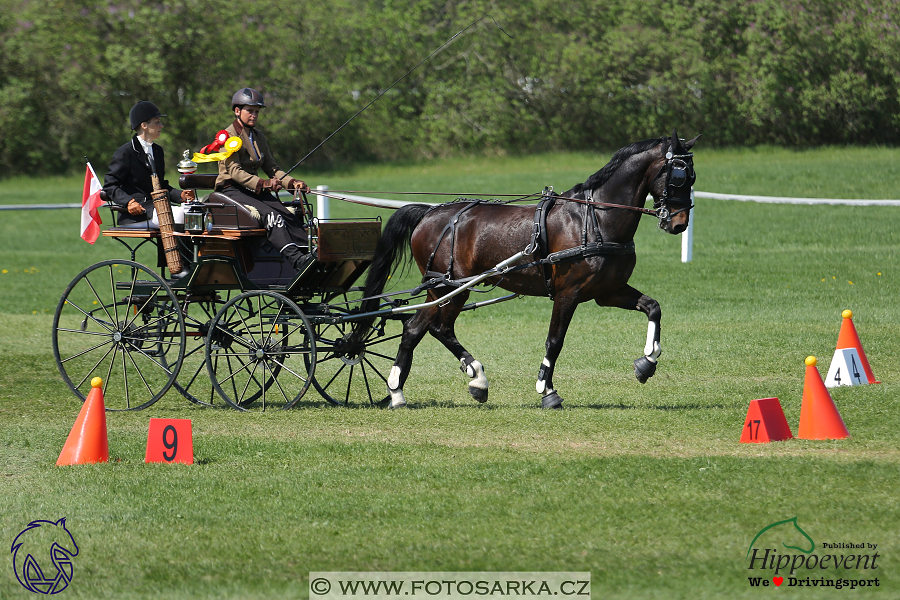 Kladruby 2018 - neděle parkur