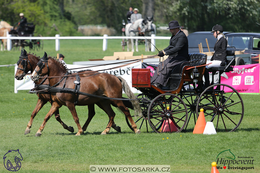 Kladruby 2018 - neděle parkur