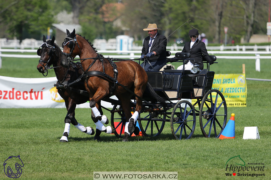 Kladruby 2018 - neděle parkur