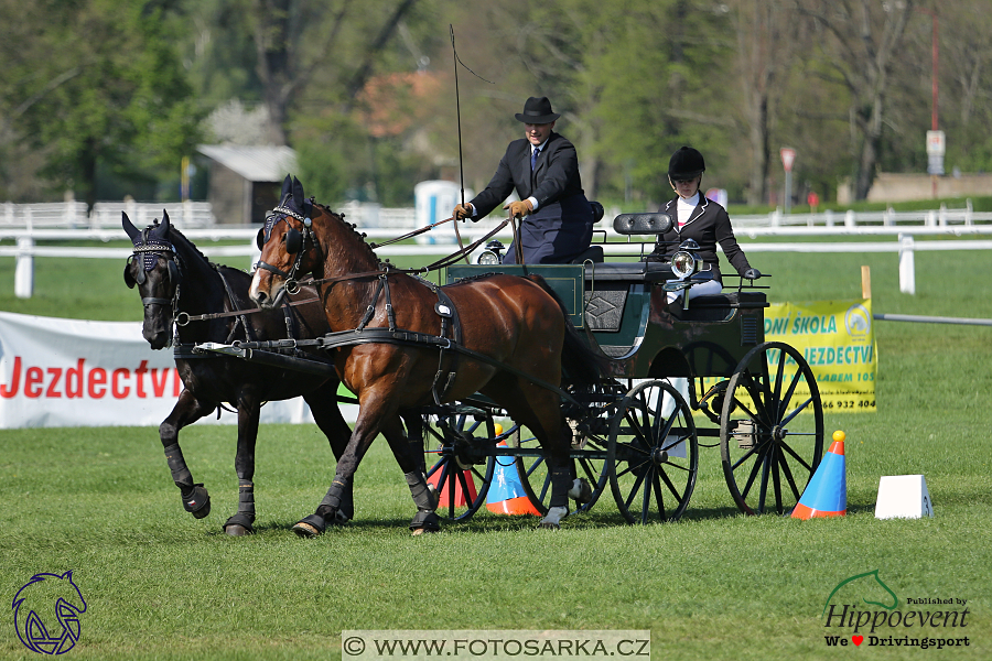 Kladruby 2018 - neděle parkur