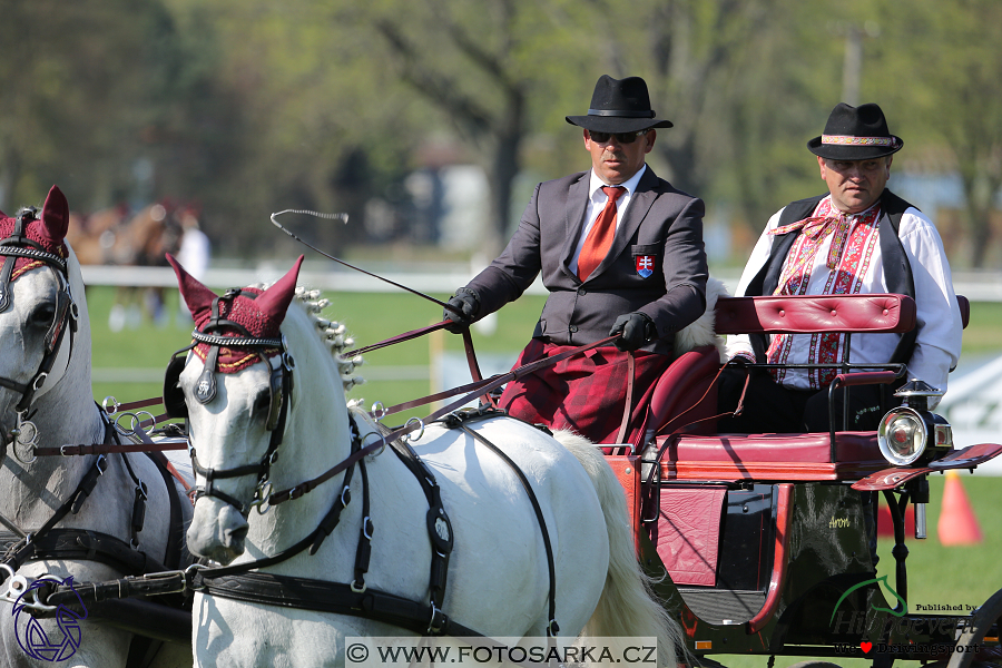 Kladruby 2018 - neděle parkur