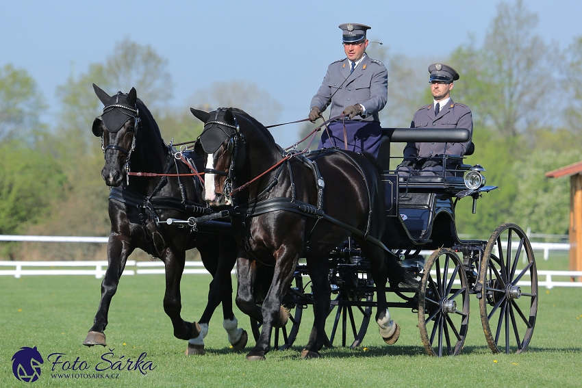 Kladruby 2019 - čtvrtek + pátek - drezury